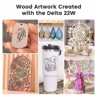 Algolaser Delta 22W